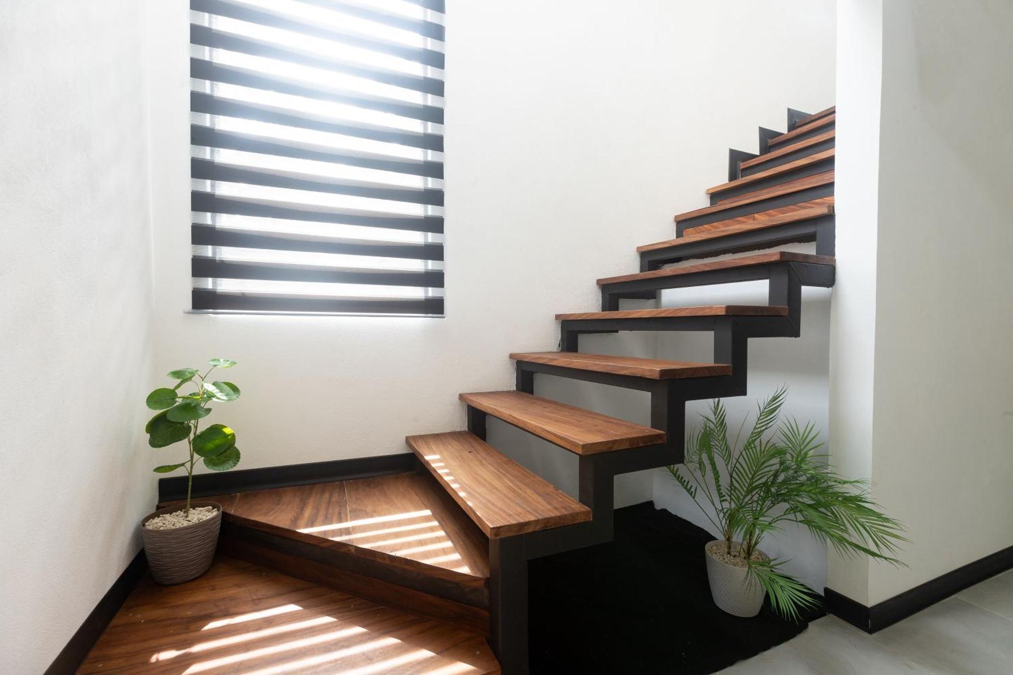 Casa Violeta Home Rentals Monteverde Екстер'єр фото